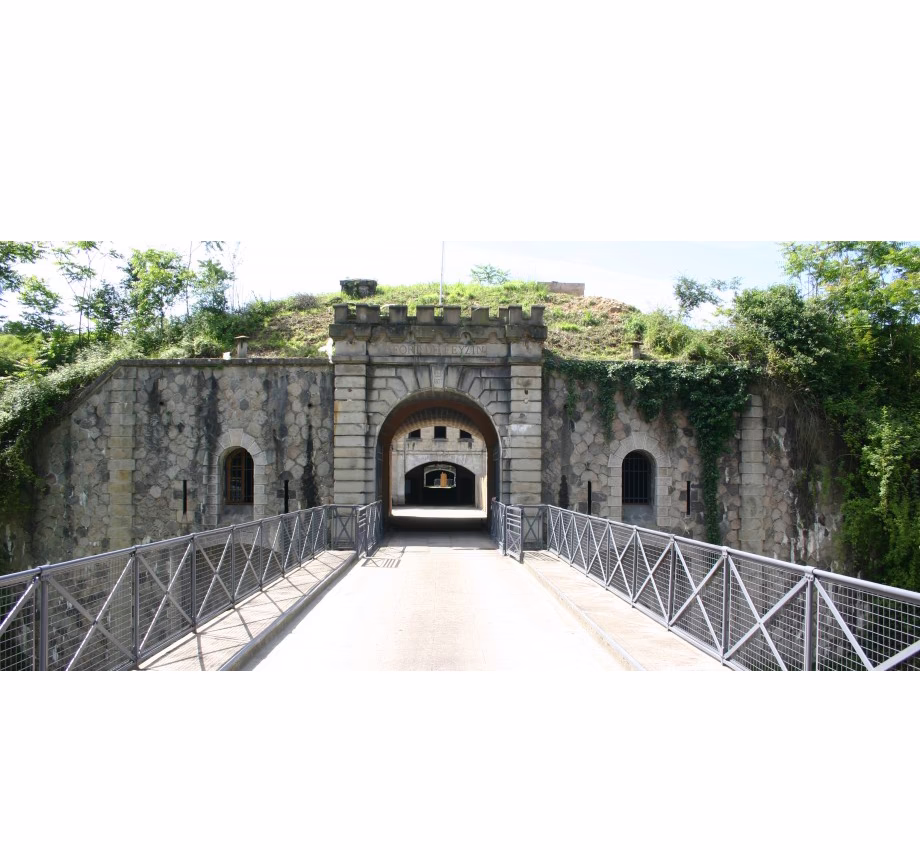 Fort de Feyzin