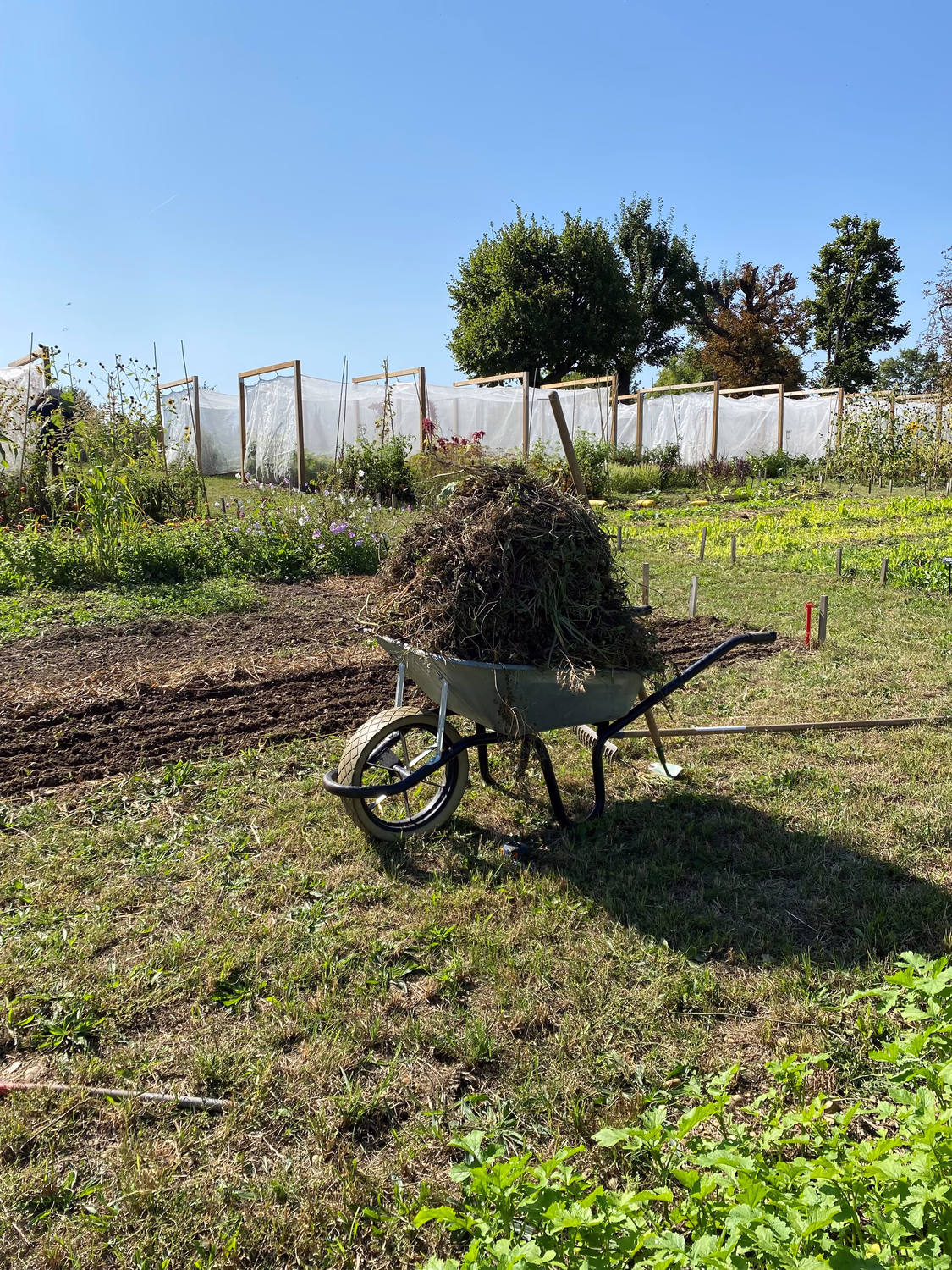 Brouette Potager Biodiversité Cultivée