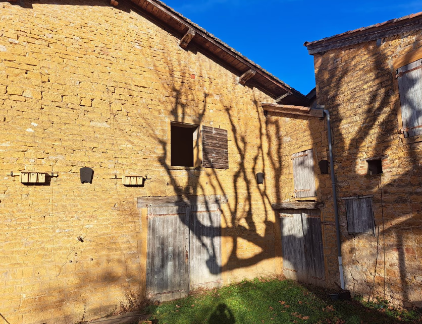 Bâti Rural Biodiversité Inféodée Mur