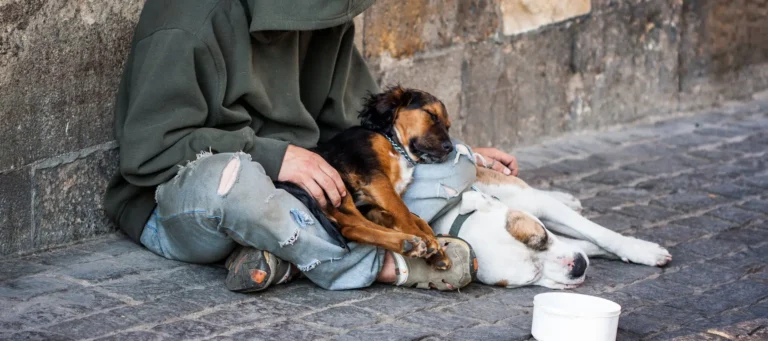 sans-abri assis sur le trottoir avec ses chiens qui dorment à ses pieds